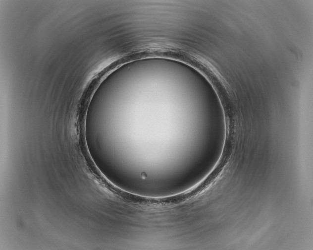 X0000113141018200909041204