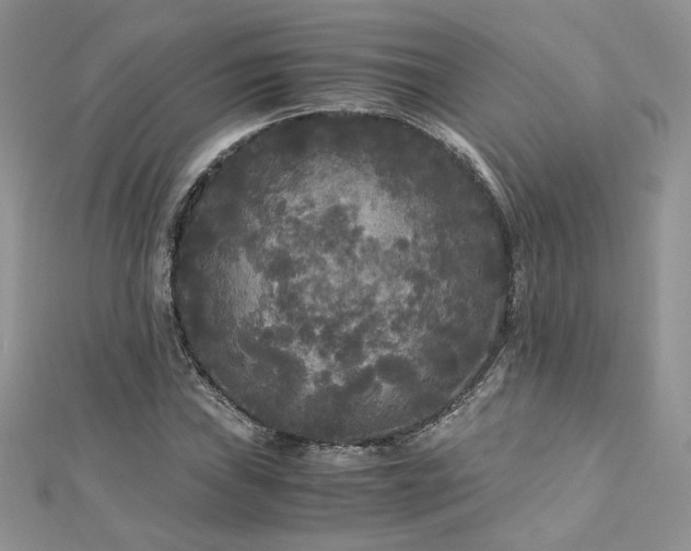 X0000113141019200909041204