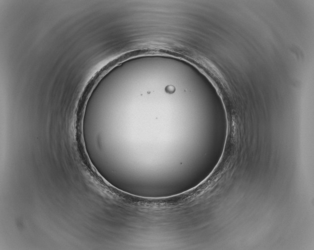 X0000113141020200909041204