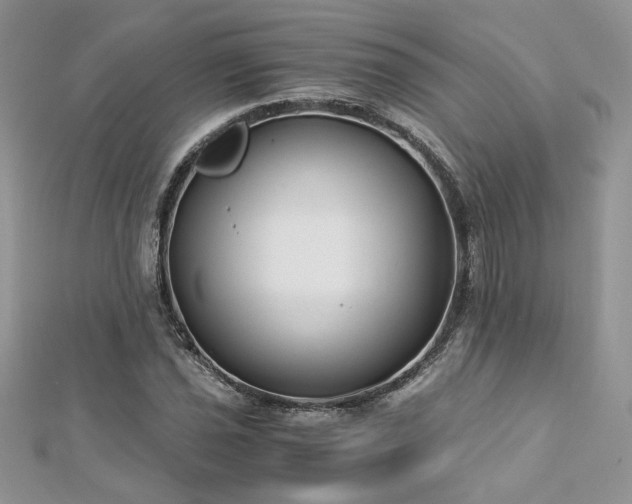 X0000113141021200909041204