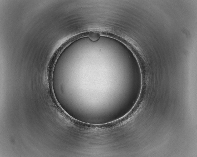 X0000113141022200909041204