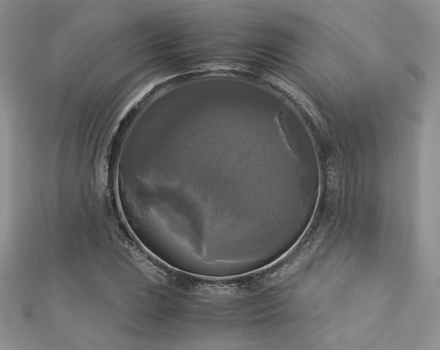 X0000113141023200909041204