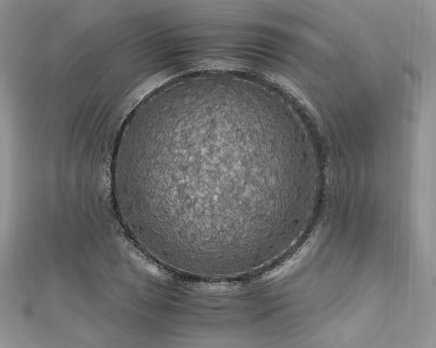 X0000113141025200909041204