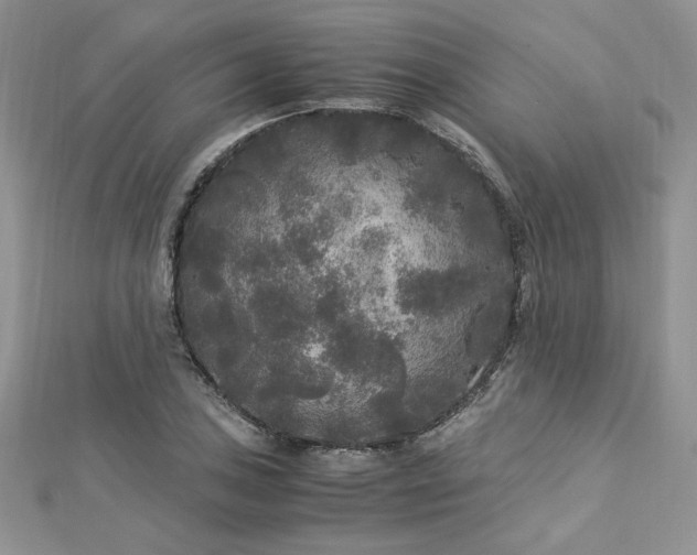 X0000113141027200909041204