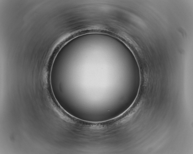 X0000113141029200909041204