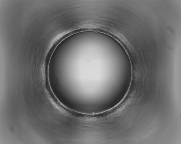 X0000113141030200909041204