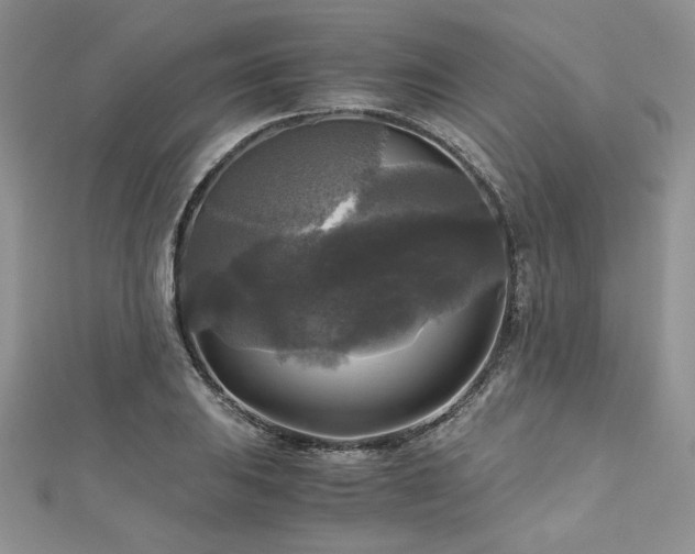 X0000113141031200909041204