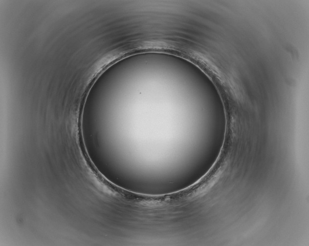 X0000113141033200909041204