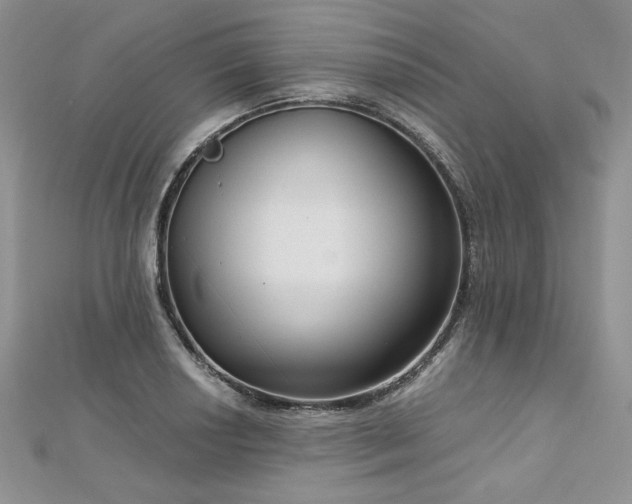 X0000113141034200909041204