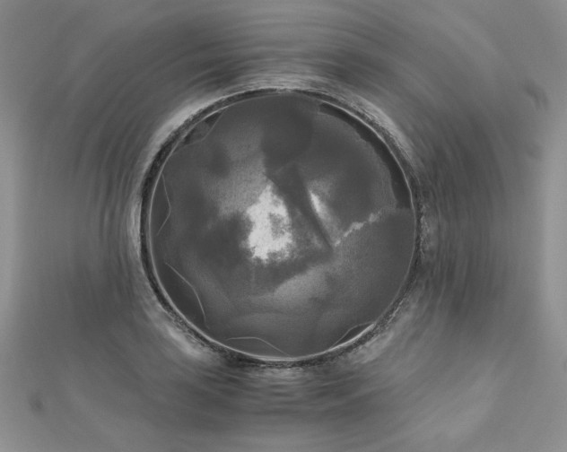 X0000113141035200909041204