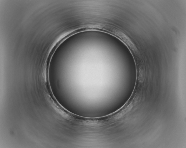 X0000113141036200909041204