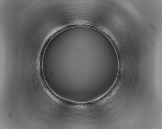 X0000113141037200909041204