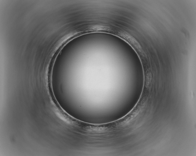 X0000113141039200909041204