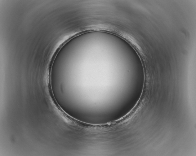 X0000113141040200909041204