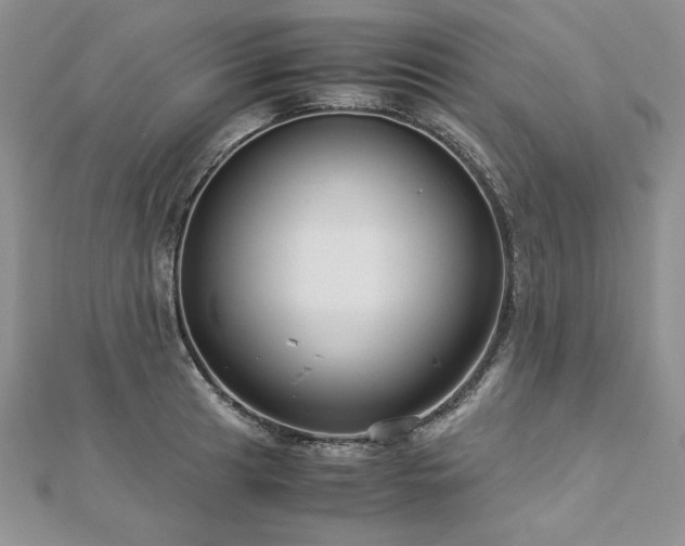 X0000113141041200909041204