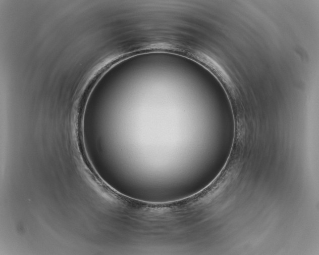 X0000113141043200909041205