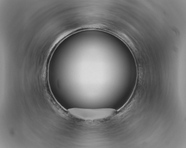 X0000113141044200909041205