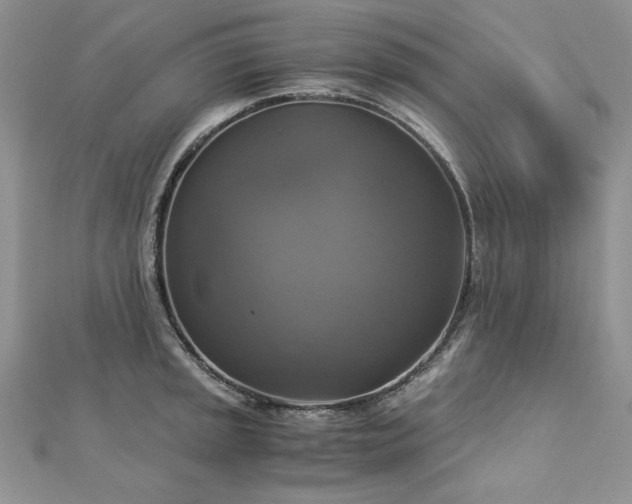 X0000113141045200909041205
