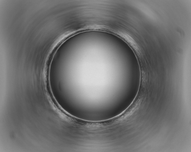 X0000113141046200909041205