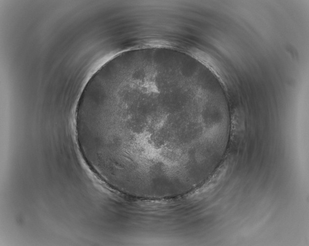 X0000113141047200909041205