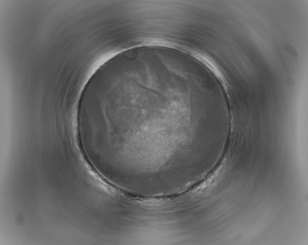 X0000113141048200909041205