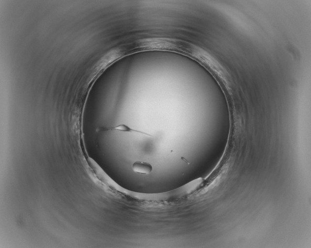 X0000113141049200909041205