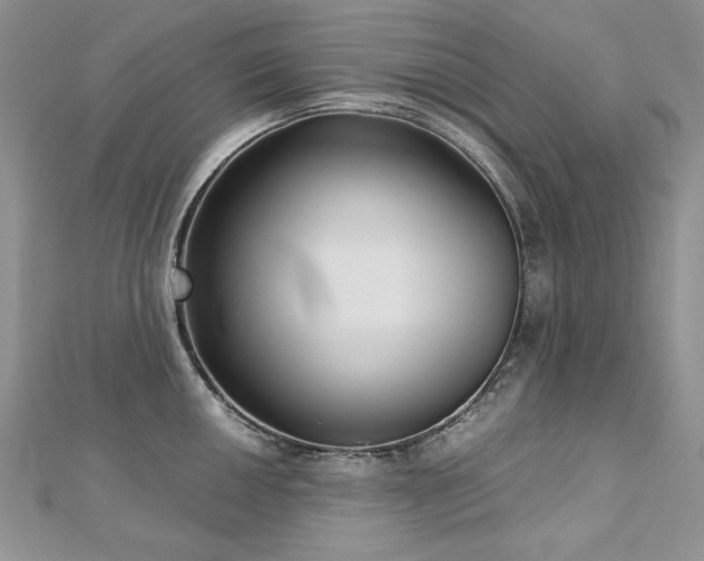 X0000113141050200909041205