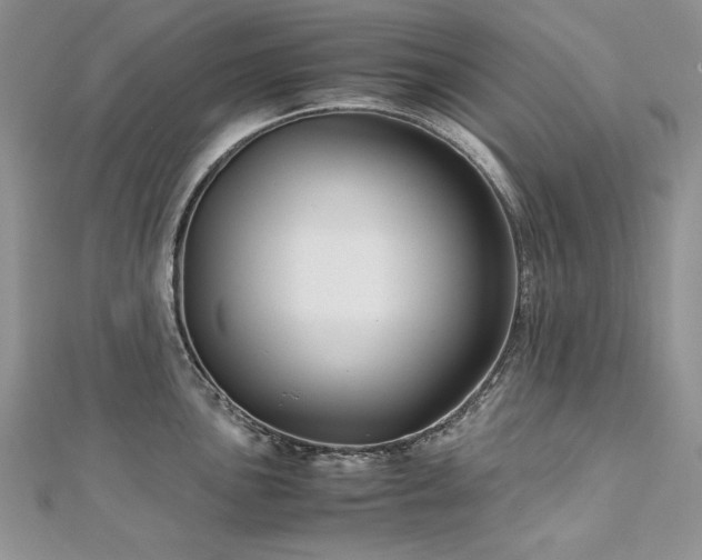 X0000113141051200909041205