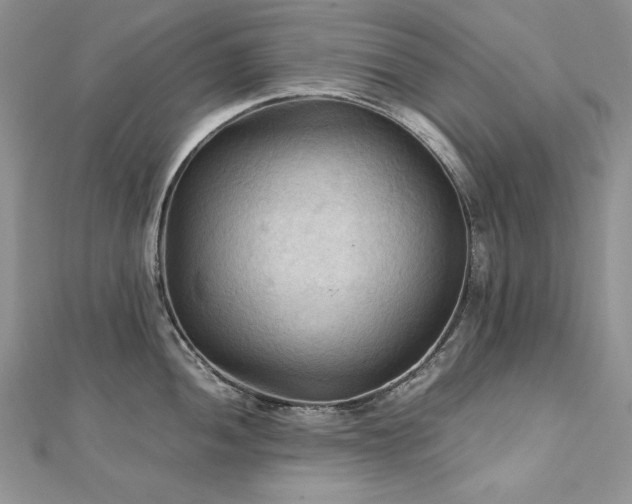 X0000113141052200909041205