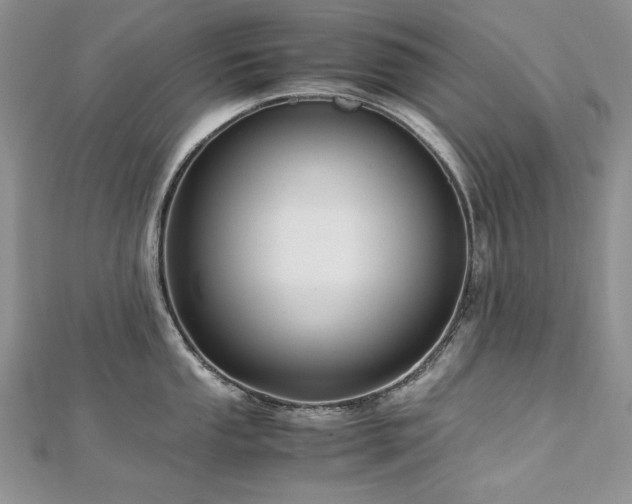 X0000113141053200909041205