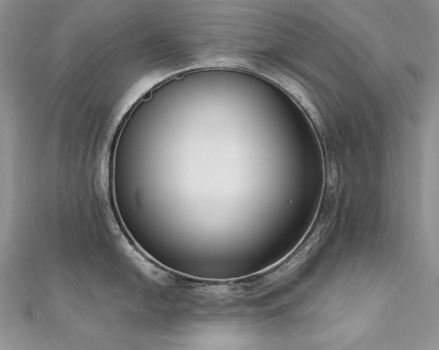 X0000113141054200909041205