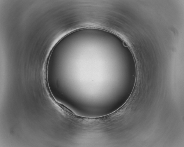 X0000113141056200909041205