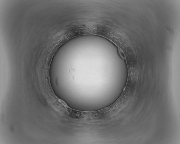 X0000113141057200909041204