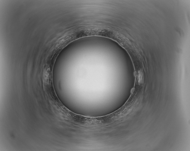 X0000113141059200909041204