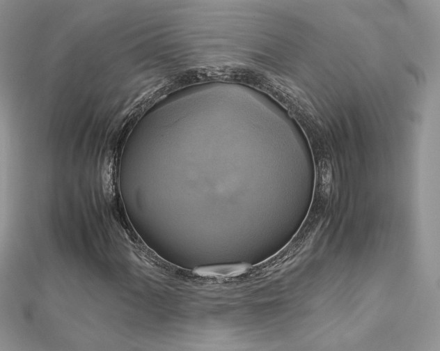 X0000113141060200909041204