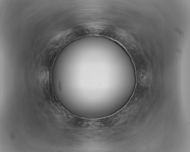 X0000113141061200909041204