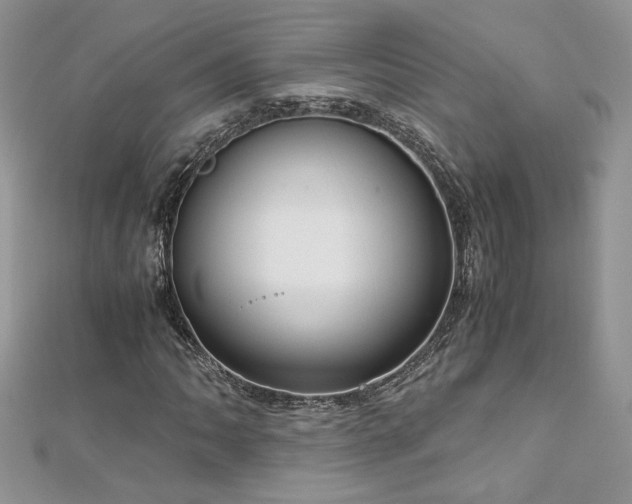 X0000113141062200909041204
