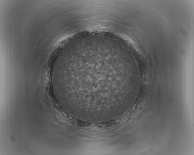 X0000113141063200909041204