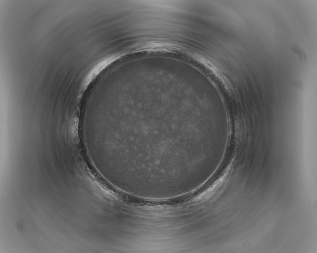 X0000113141066200909041204