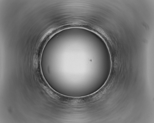 X0000113141067200909041204