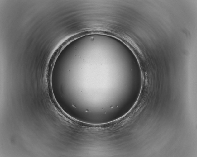 X0000113141068200909041204