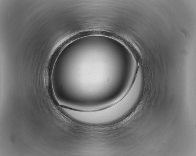 X0000113141069200909041204