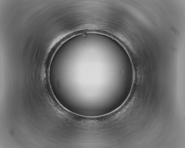 X0000113141070200909041204