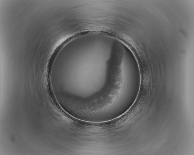 X0000113141071200909041204