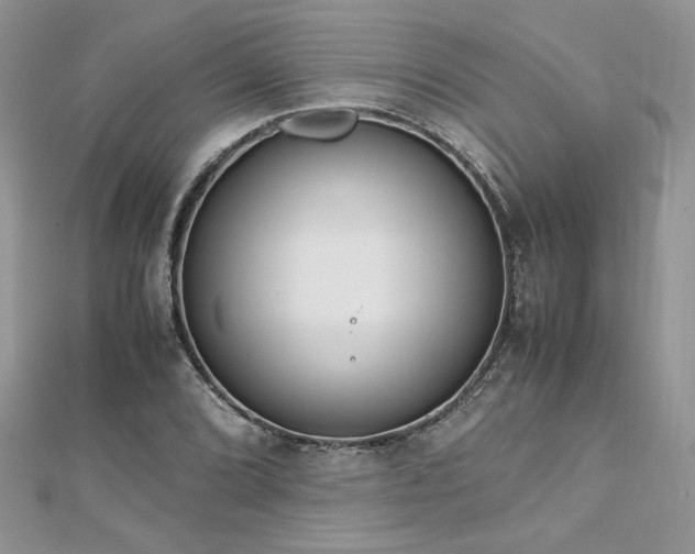 X0000113141072200909041204