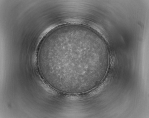 X0000113141074200909041204