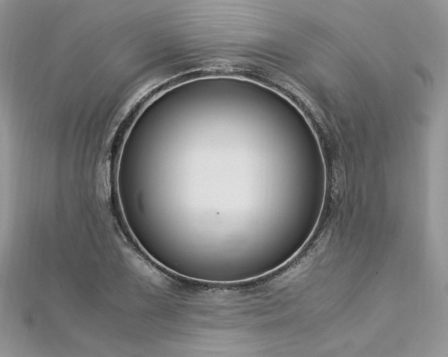X0000113141075200909041204