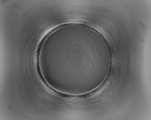 X0000113141077200909041204
