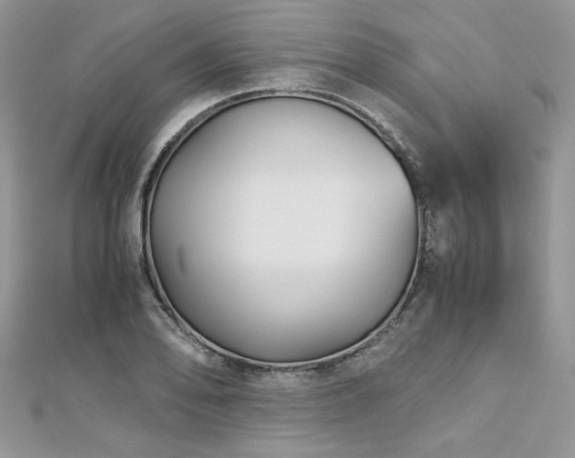 X0000113141078200909041204