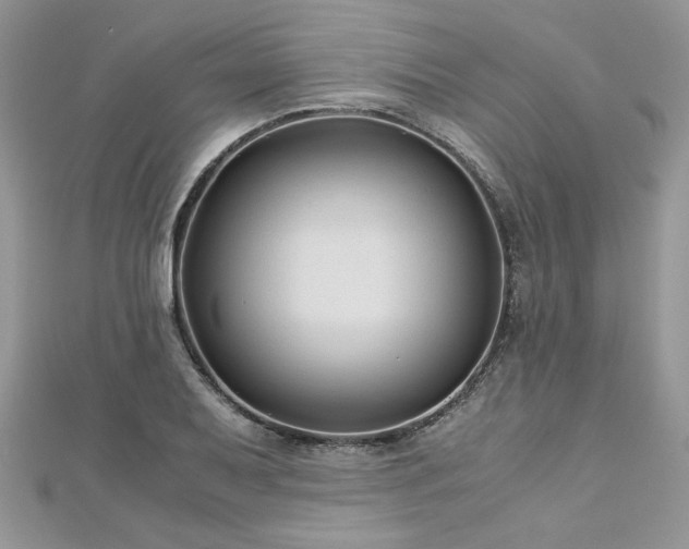 X0000113141079200909041204